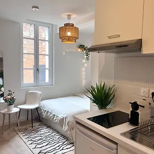 Appartement Le Saphir, Toulouse